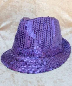 CHAPEAU DISCO VIOLET À PAILLETTES -Ac1653
