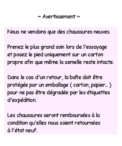 CHAUSSURES VICTORIENNES -As0079