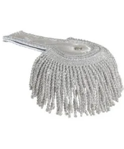 EPAULETTES ARGENTÉES -Ax1519