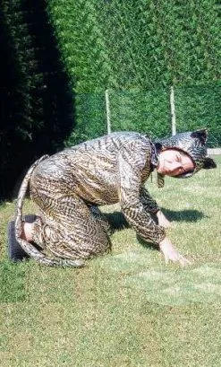 COSTUME TIGRE -v36003