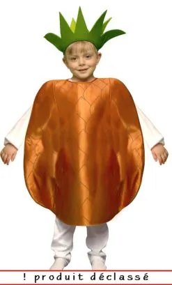 COSTUME FRUIT ANANAS CHOIX -v61013